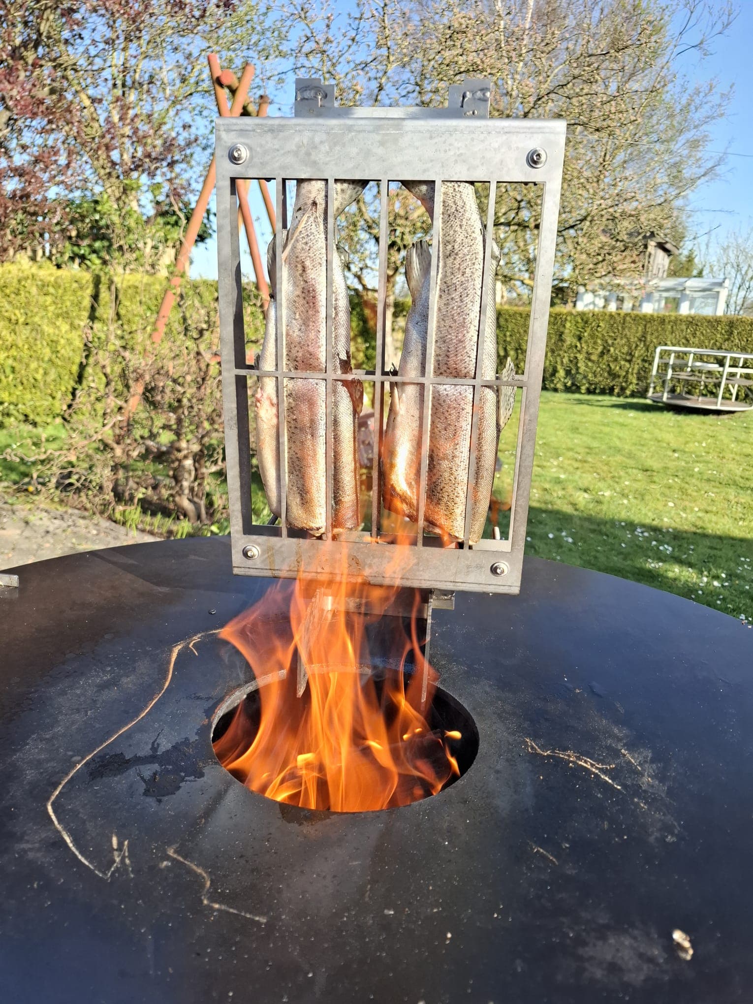 Asado Grillgitter Meisterset – Geschenk mit Flammlachsbrett