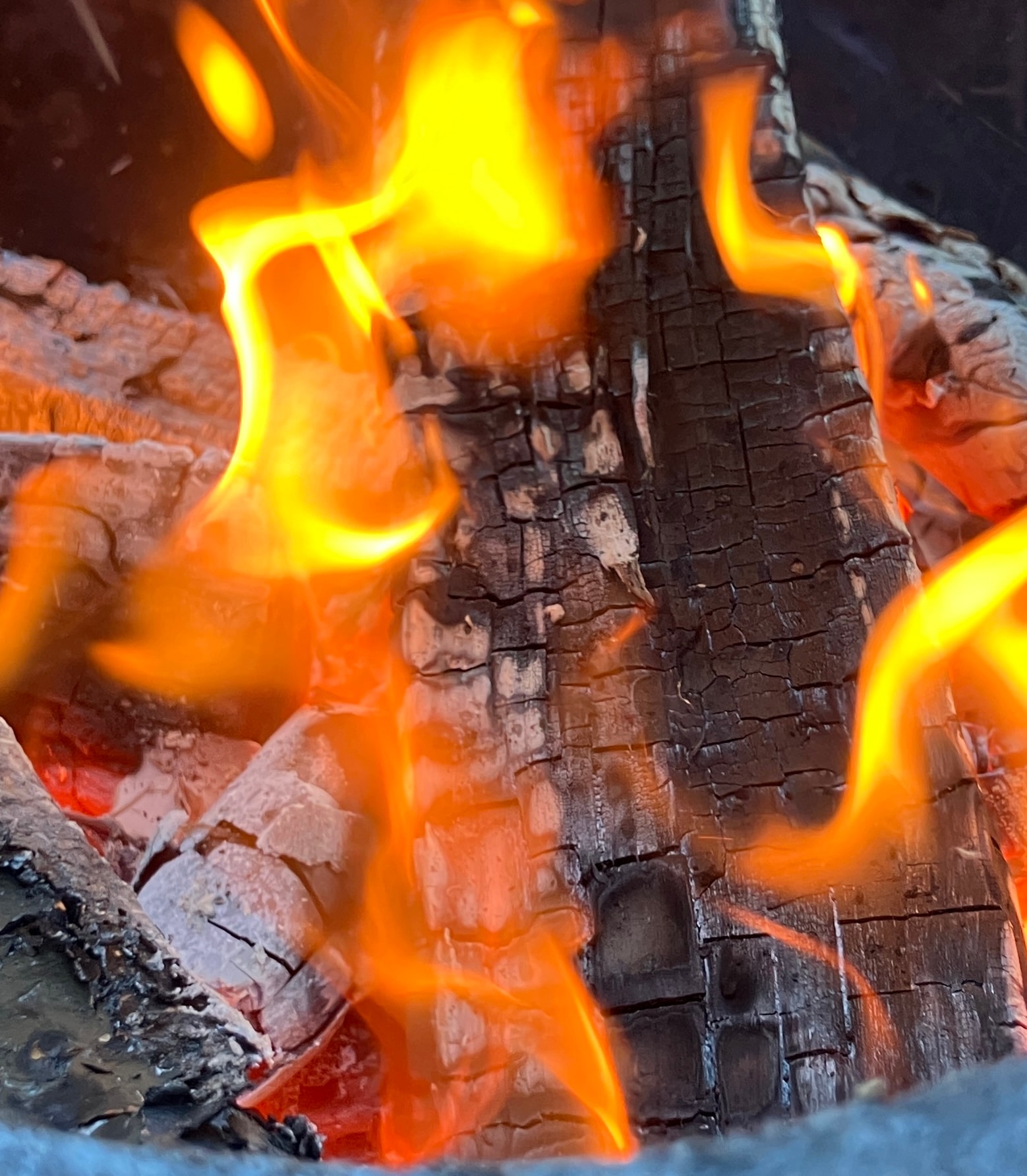 Flammlachs richtige Temperatur – so gelingt er perfekt 