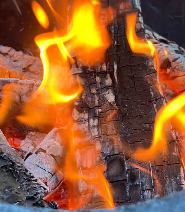 Flammlachs richtige Temperatur – so gelingt er perfekt